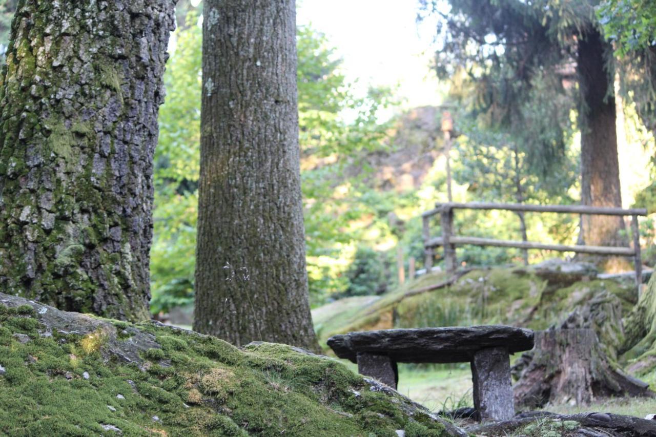 Eco-Resort Parco Botanico Fiorlago Mergozzo Bagian luar foto