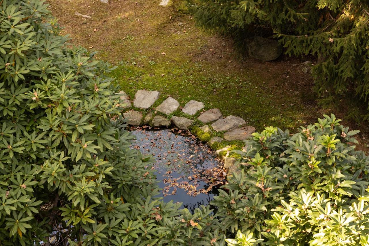 Eco-Resort Parco Botanico Fiorlago Mergozzo Bagian luar foto