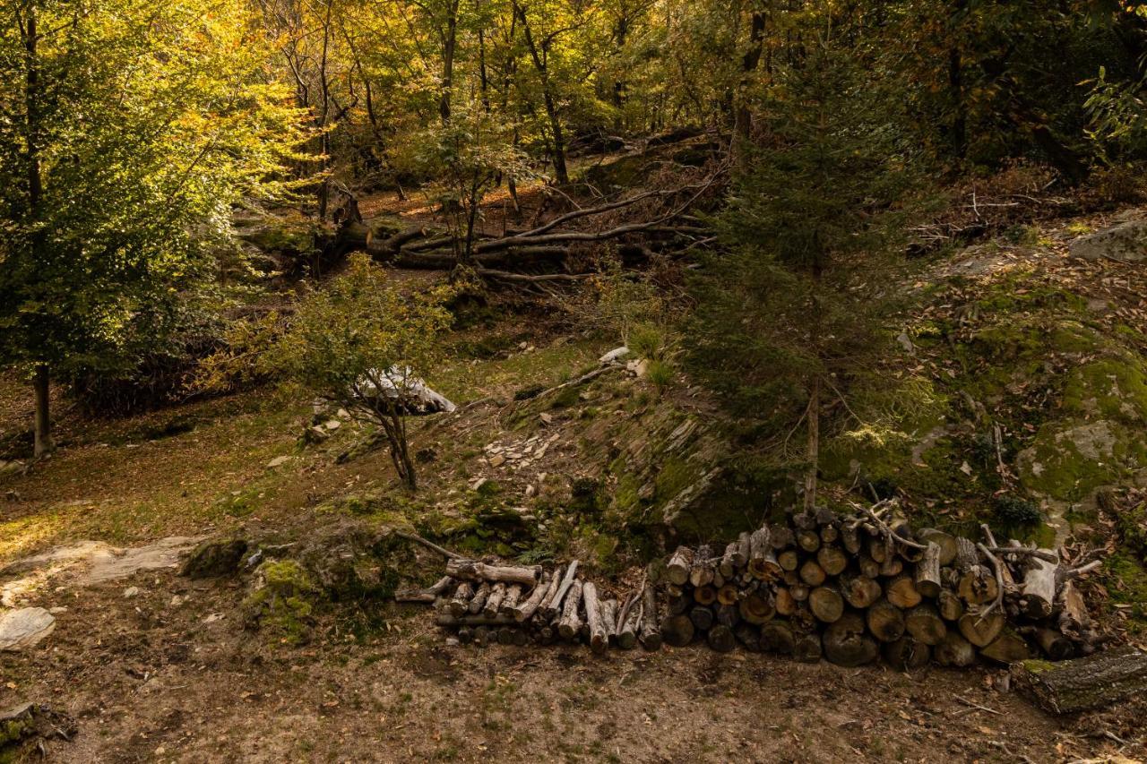 Eco-Resort Parco Botanico Fiorlago Mergozzo Bagian luar foto